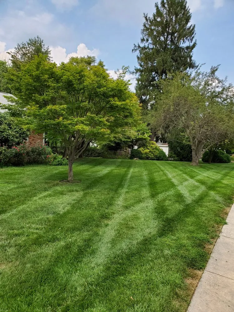 Trusted outdoor landscaping for year-round maintenance across Boyds, MD - Rodgers Neighborhood Landscaping