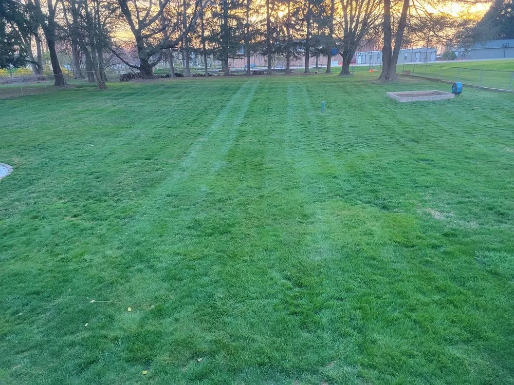 Local landscape design in Boyds, MD by Rodgers Neighborhood Landscaping