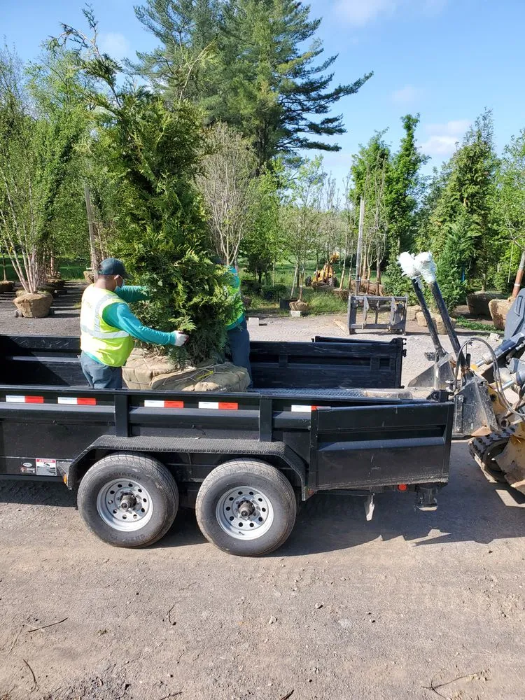 Expert residential landscaping with custom design in Boyds, MD by Rodgers Neighborhood Landscaping