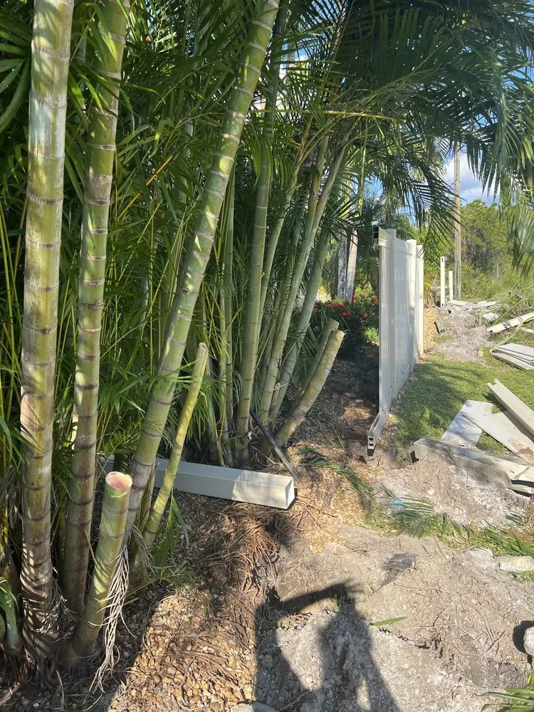 Trusted yard maintenance for residential properties in North Port, FL by Rodgers Services