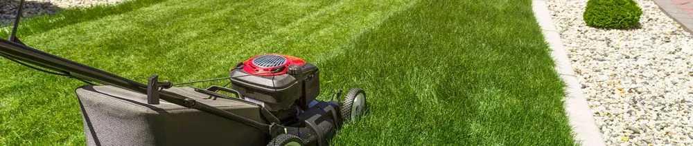 Expert outdoor landscaping in Cleveland, GA by Rodney's Lawn Services