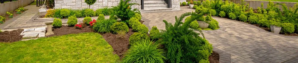 Affordable landscape design in Cleveland, GA by Rodney's Lawn Services