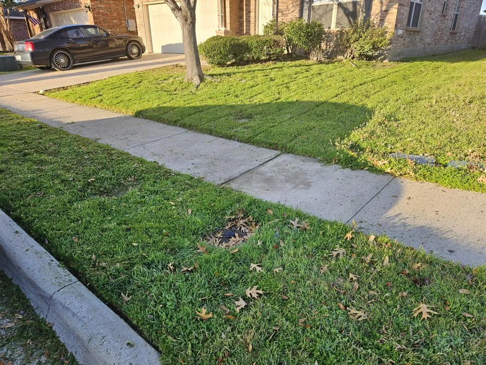 Top-rated landscape design in Fort Worth, TX - Rodneys Lawncare