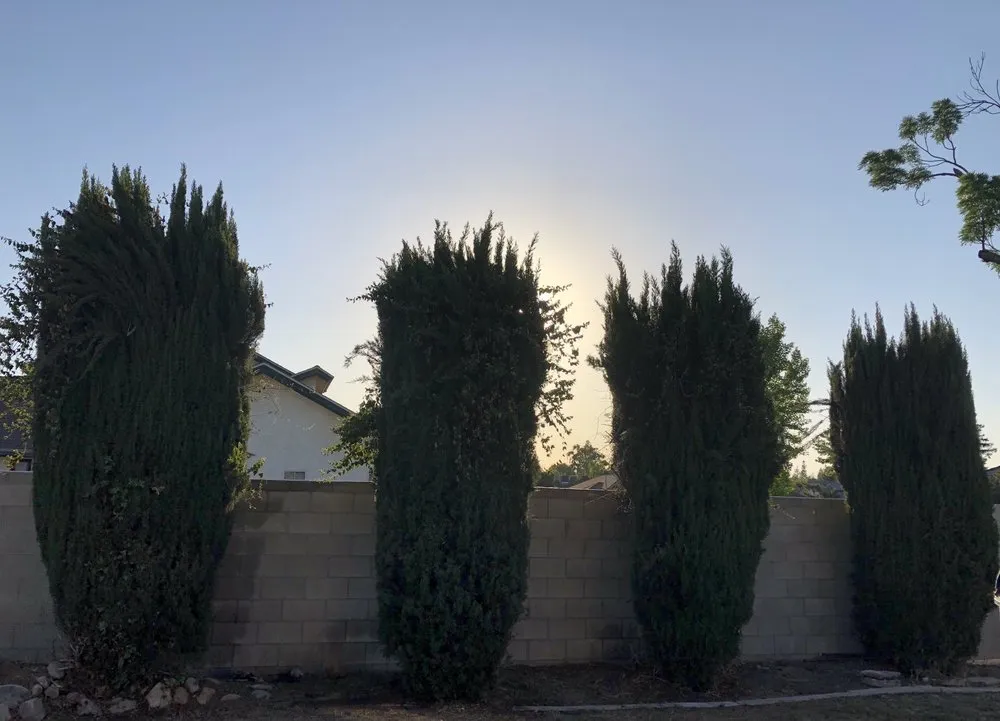Local landscape design in Bakersfield, CA by Rodolfo Hernandez