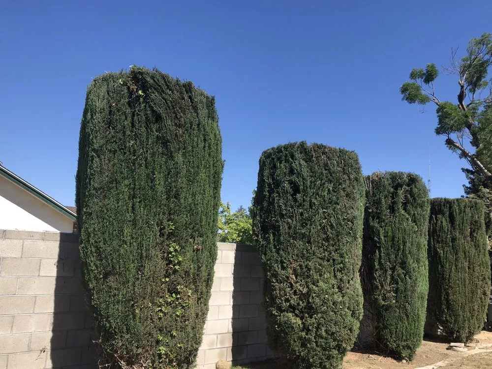 Custom residential landscaping with custom design across Bakersfield, CA - Rodolfo Hernandez