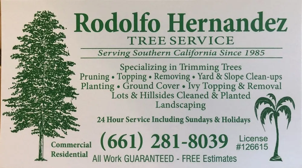 Affordable yard cleanup service in Bakersfield, CA by Rodolfo Hernandez