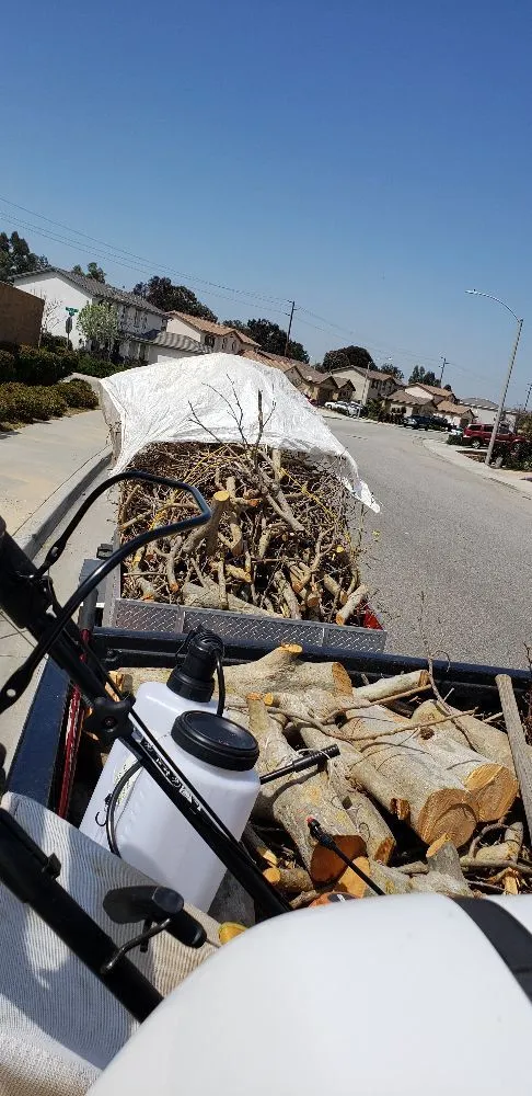 Custom landscaping services in Romoland, CA - Rodolfo Maintenance and Landscaping Services