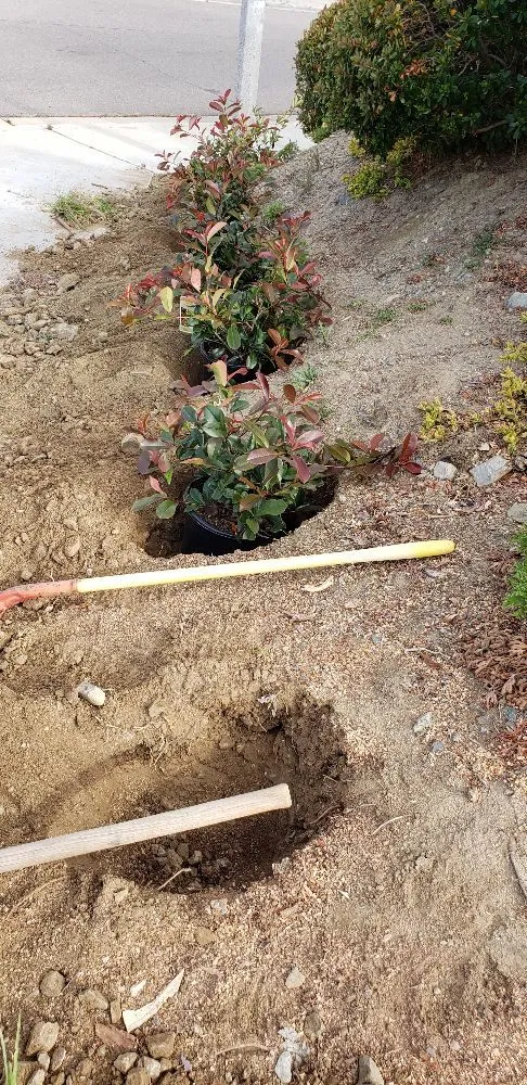 Trusted landscape installation in Romoland, CA - Rodolfo Maintenance and Landscaping Services