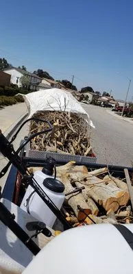 Rodolfo Maintenance and Landscaping Services Logo