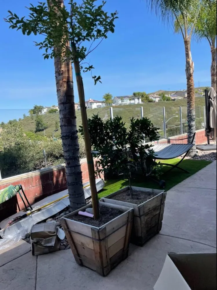 Trusted yard maintenance in Riverside, CA - Rodolfos Landscaping