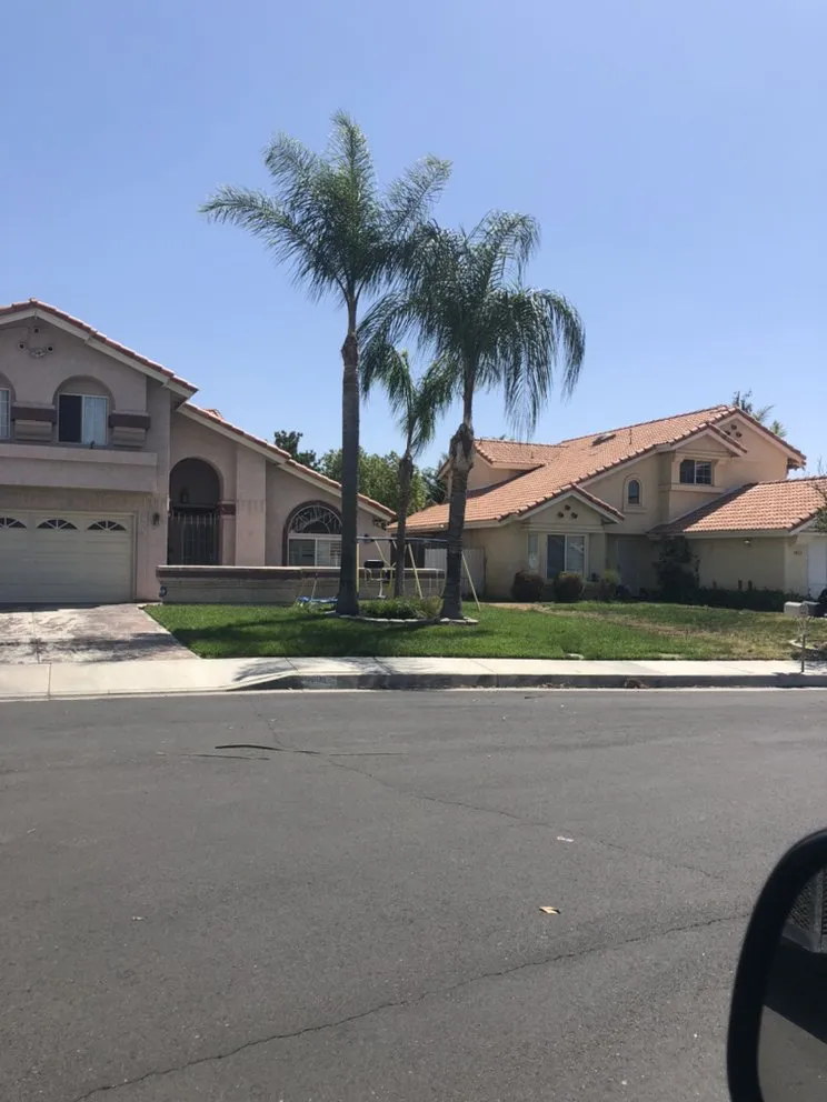 Trusted yard cleanup service for beautiful yards in Riverside, CA by Rodolfos Landscaping