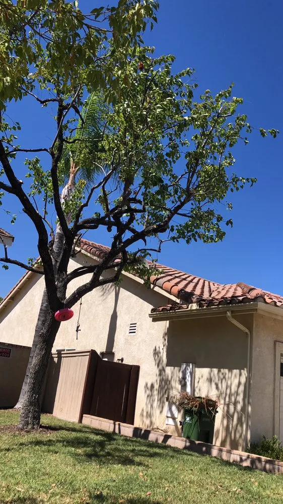 Custom landscape design near you across Riverside, CA - Rodolfos Landscaping