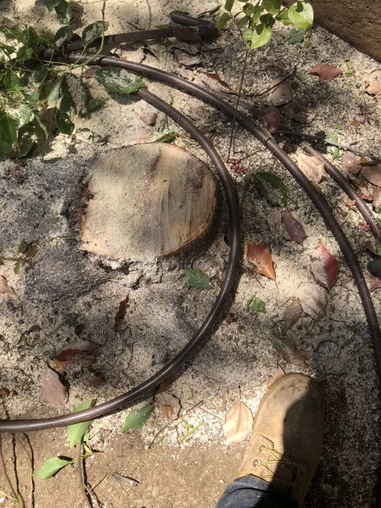 Top-rated landscape design in Riverside, CA by Rodolfos Landscaping