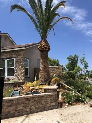 Rodolfos Landscaping Logo