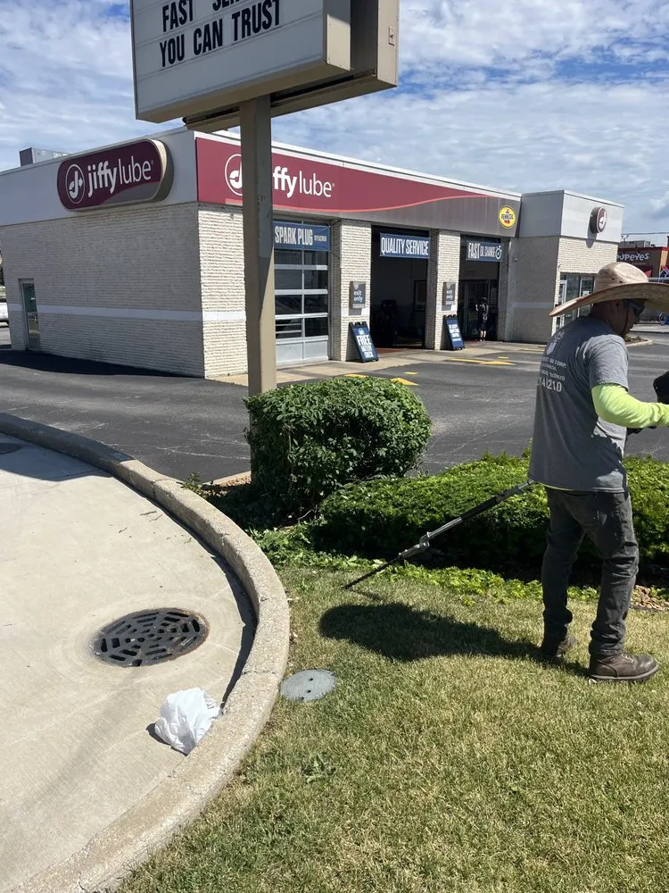 Custom yard cleanup service in Chicago Heights, IL - Rodríguez Best Yard