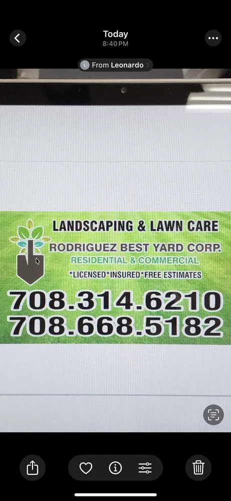 Trusted yard cleanup service in Chicago Heights, IL by Rodríguez Best Yard
