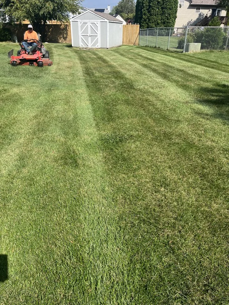 Professional garden landscaping in Chicago Heights, IL by Rodríguez Best Yard