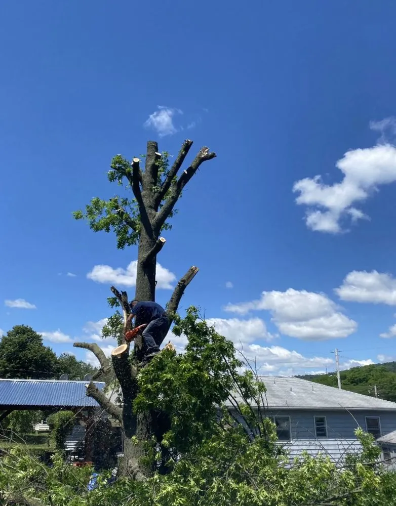 Custom lawn mowing service in Mechanicsburg, PA by Rodríguez Landscaping