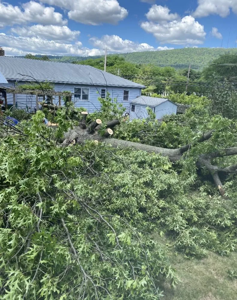 Professional yard cleanup service for year-round maintenance in Mechanicsburg, PA by Rodríguez Landscaping