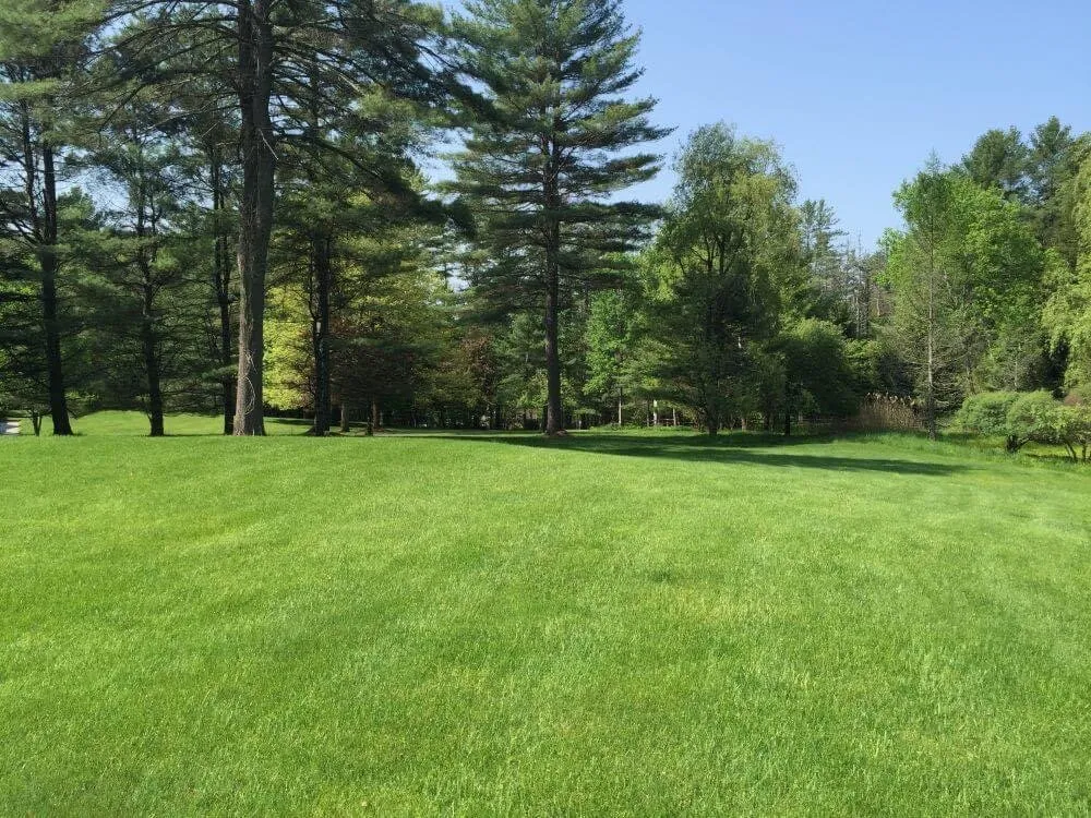 Affordable landscape installation in Grandview, MO by Rodríguez Lawn Care