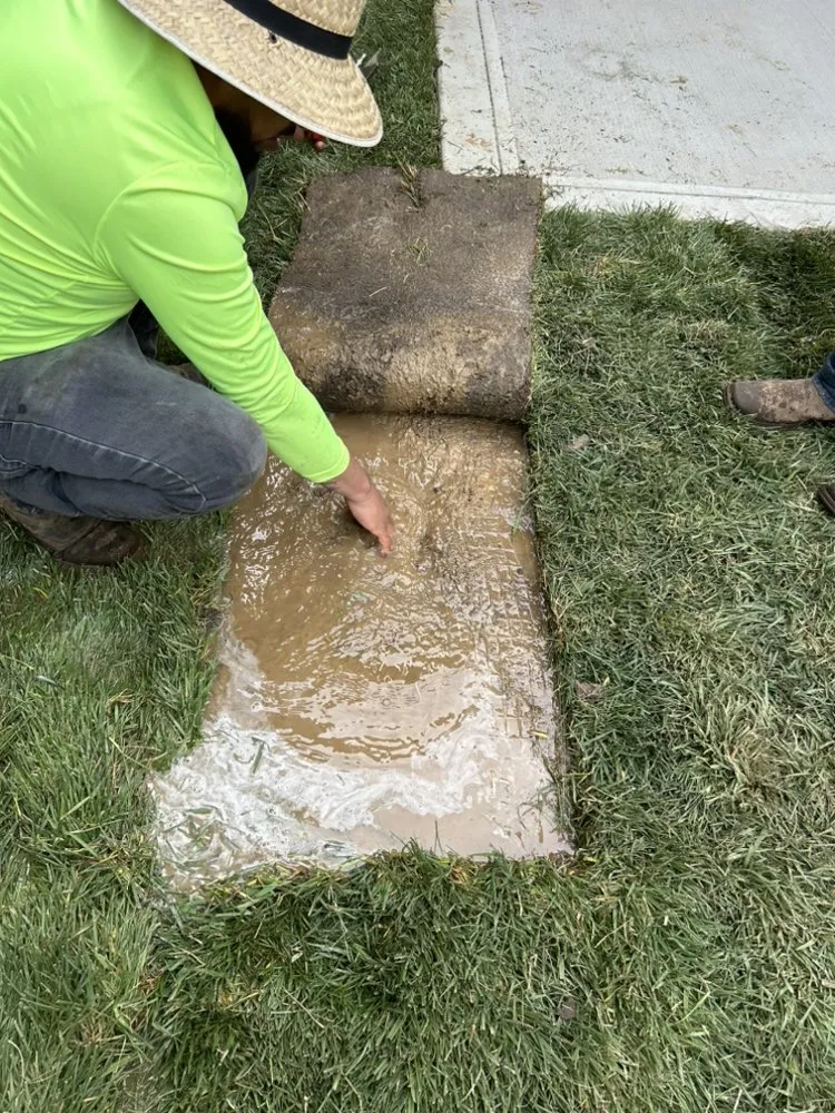 Affordable garden landscaping for homes across Grandview, MO - Rodríguez Lawn Care