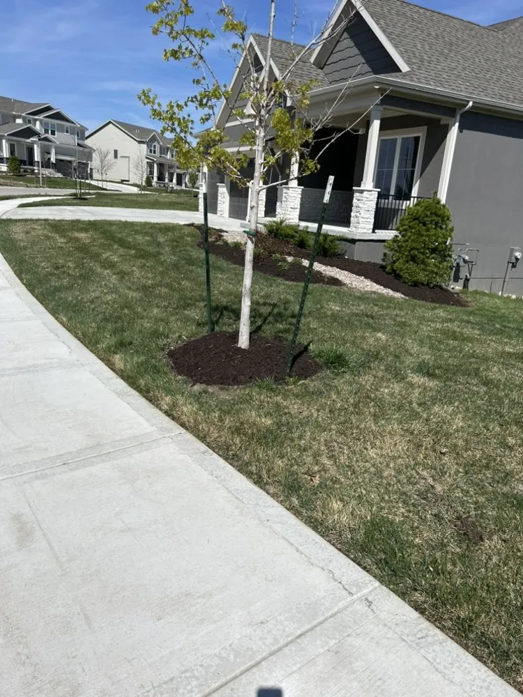 Expert yard cleanup service in Grandview, MO by Rodríguez Lawn Care