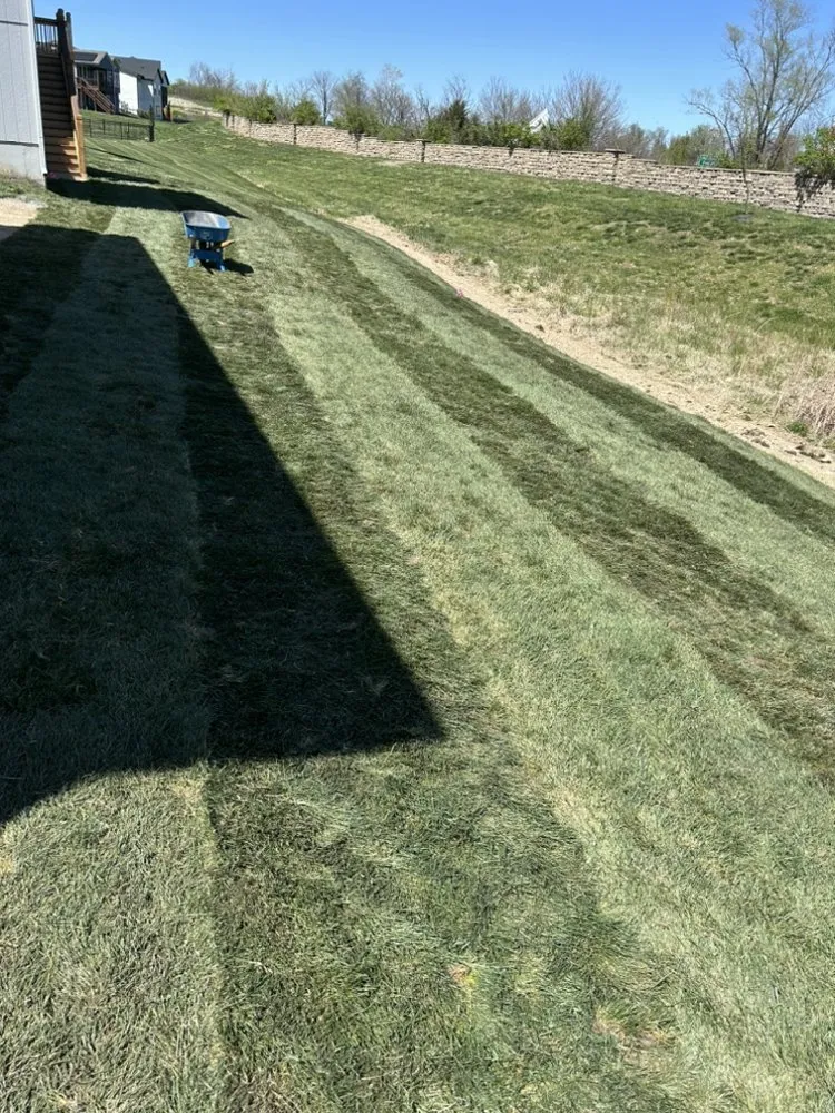 Trusted lawn care service for homes across Grandview, MO - Rodríguez Lawn Care