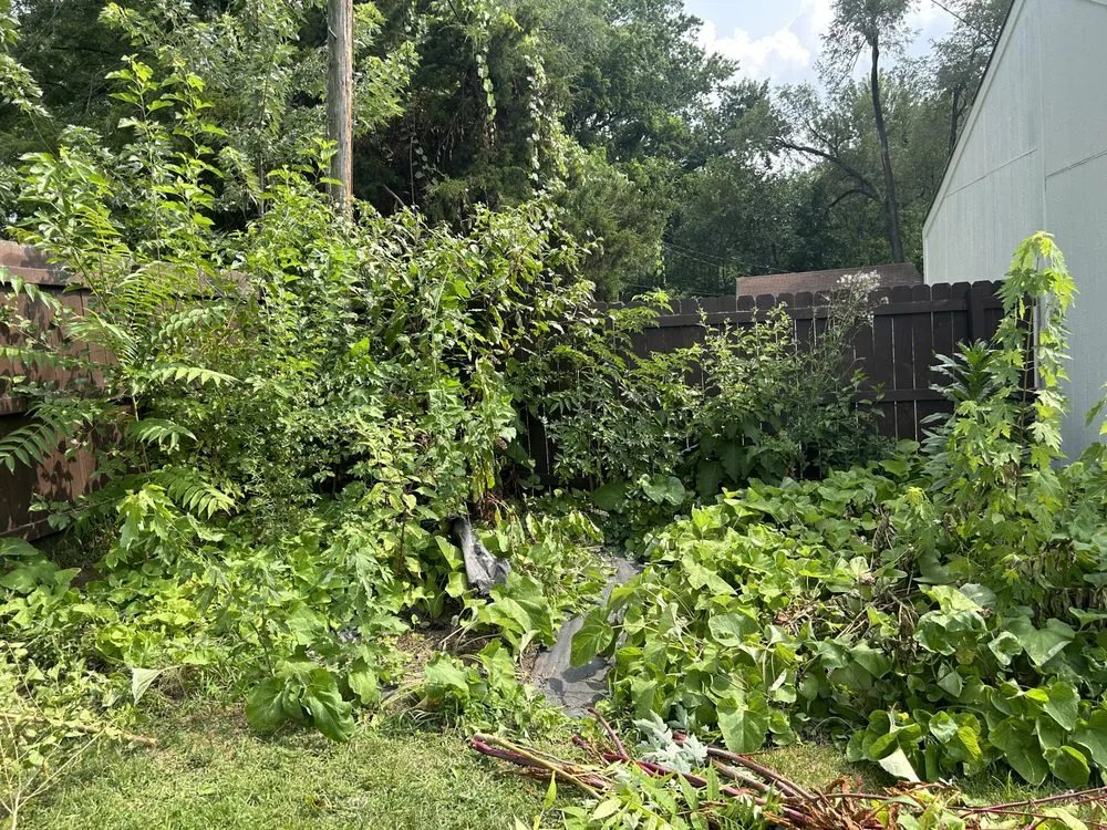 Expert yard cleanup service for beautiful yards in Grandview, MO by Rodríguez Lawn Care