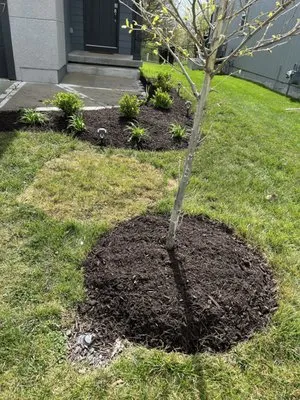 Rodríguez Lawn Care