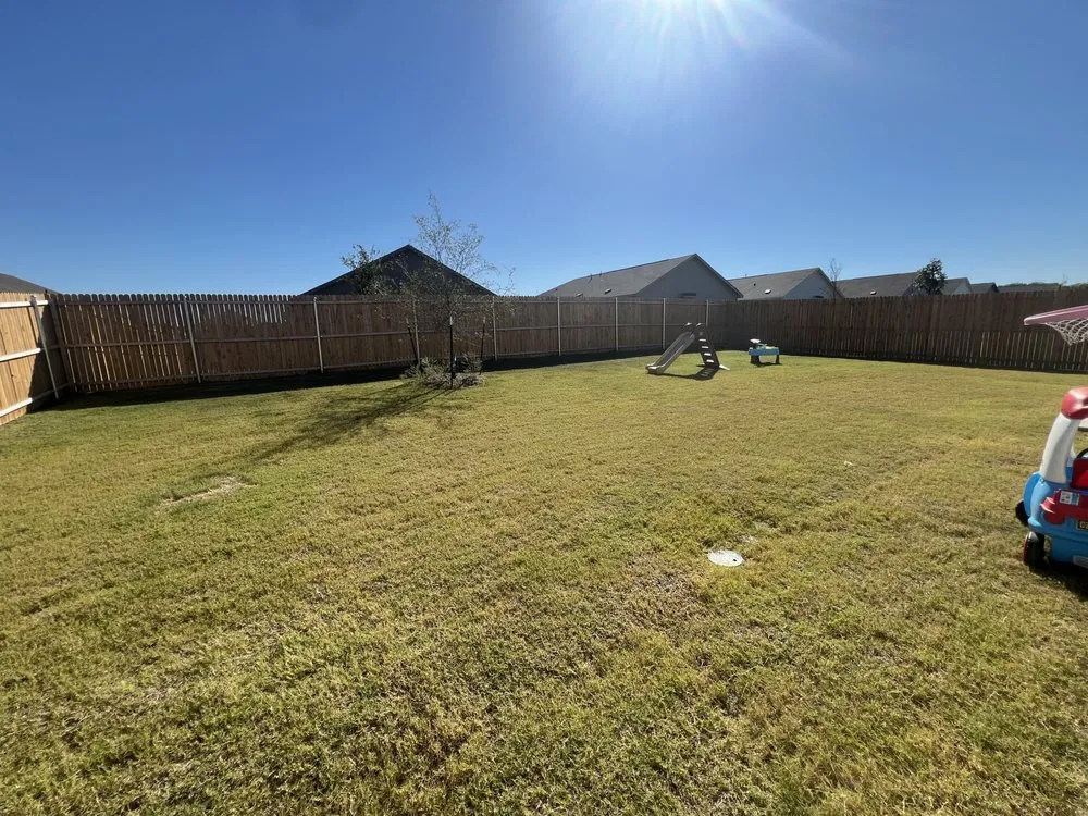 Professional garden landscaping in Tom Bean, TX by Rodríguez Lawncare