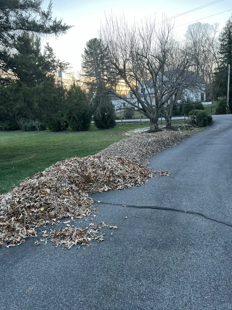 Reliable lawn mowing service in Norfolk, VA - Rodríguez Tree Service and Landscaping