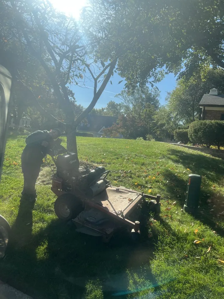 Reliable residential landscaping in Norfolk, VA by Rodríguez Tree Service and Landscaping