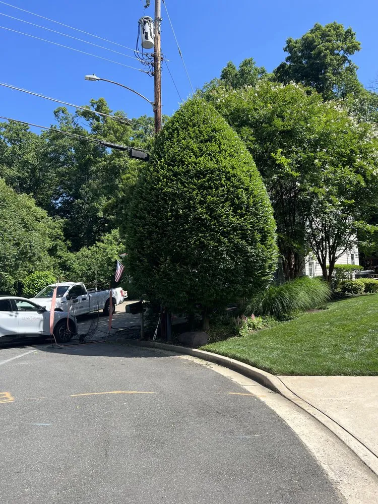 Custom outdoor landscaping in Norfolk, VA - Rodríguez Tree Service and Landscaping