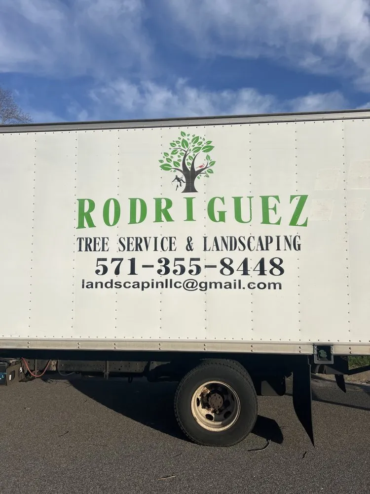 Professional garden landscaping in Norfolk, VA by Rodríguez Tree Service and Landscaping