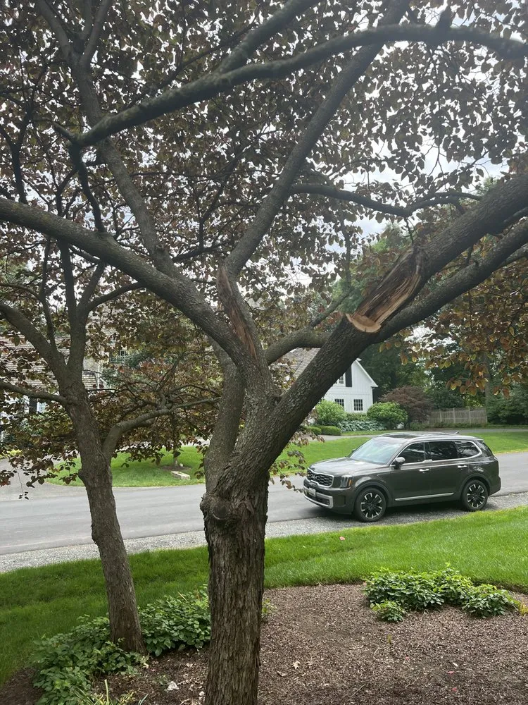 Professional garden landscaping experts serving Norfolk, VA - Rodríguez Tree Service and Landscaping