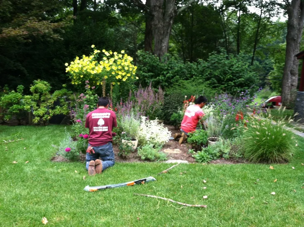 Expert lawn mowing service in Elmsford, NY - Rodrigo's Contracting & Landscaping