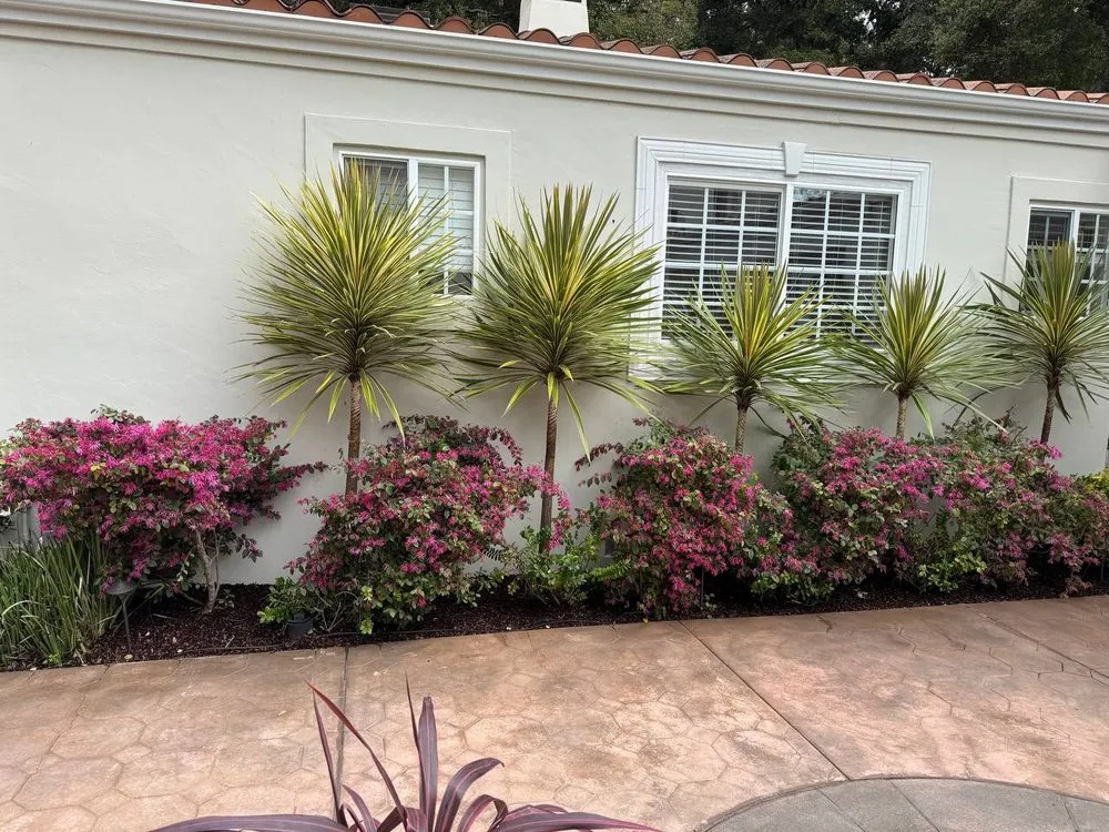 Top-rated landscape design in Los Altos Hills, CA by Rodrigos Gardening and Landscaping