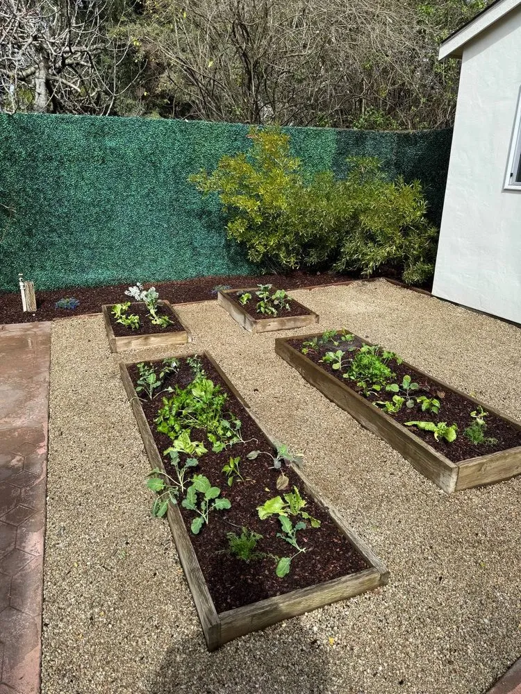 Professional landscape design experts serving Los Altos Hills, CA - Rodrigos Gardening and Landscaping