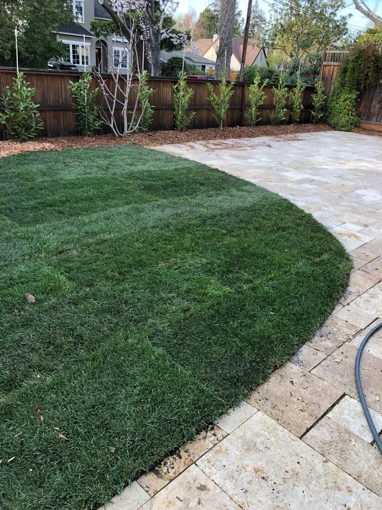 Local yard maintenance for homes across Los Altos Hills, CA - Rodrigos Gardening and Landscaping