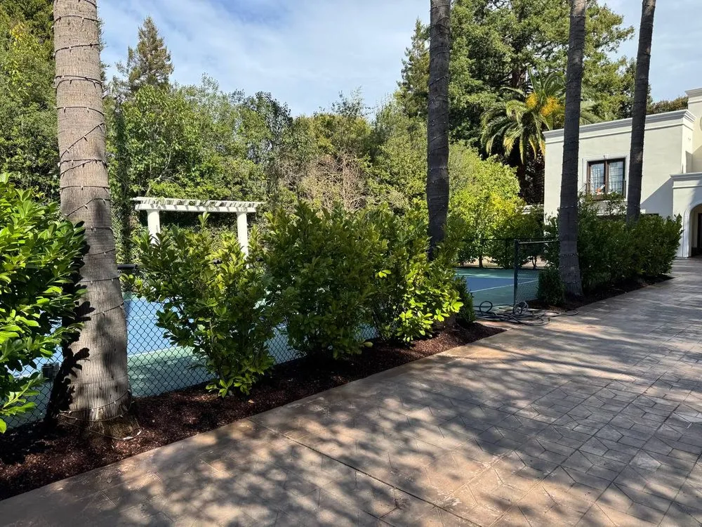 Top-rated yard cleanup service with custom design across Los Altos Hills, CA - Rodrigos Gardening and Landscaping