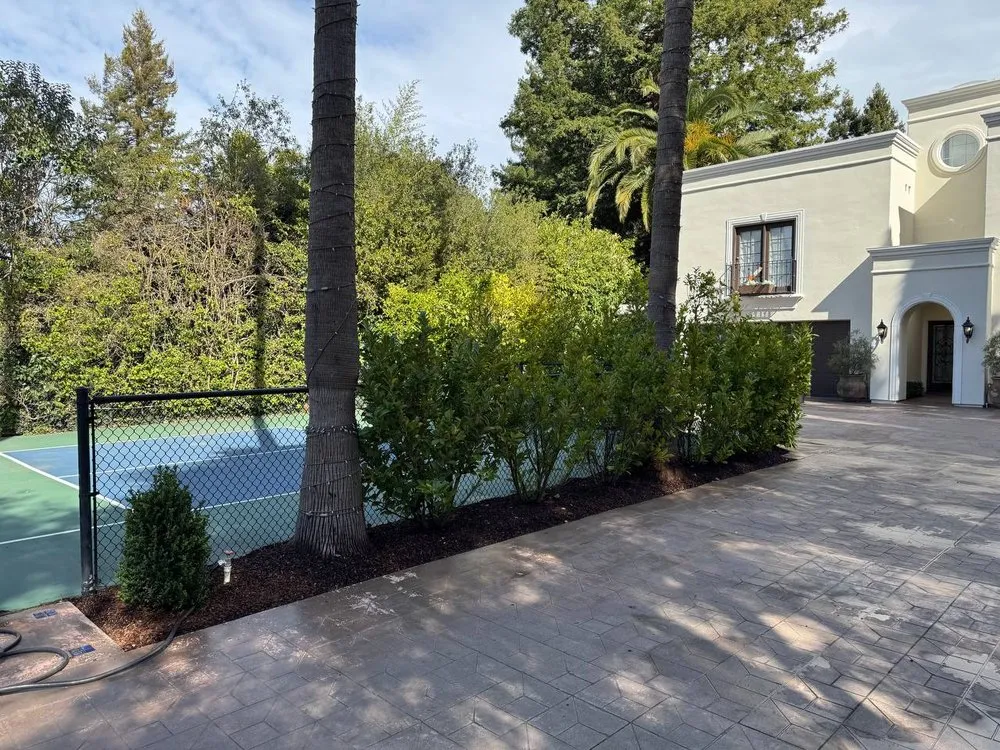 Expert lawn mowing service in Los Altos Hills, CA by Rodrigos Gardening and Landscaping