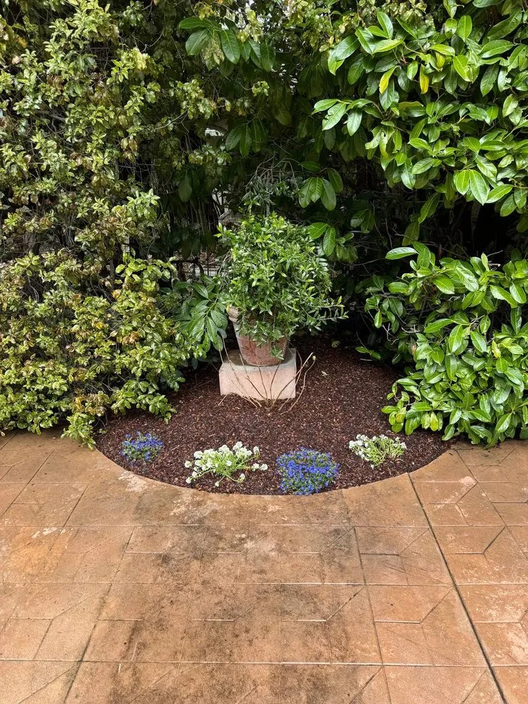 Top-rated outdoor landscaping in Los Altos Hills, CA by Rodrigos Gardening and Landscaping