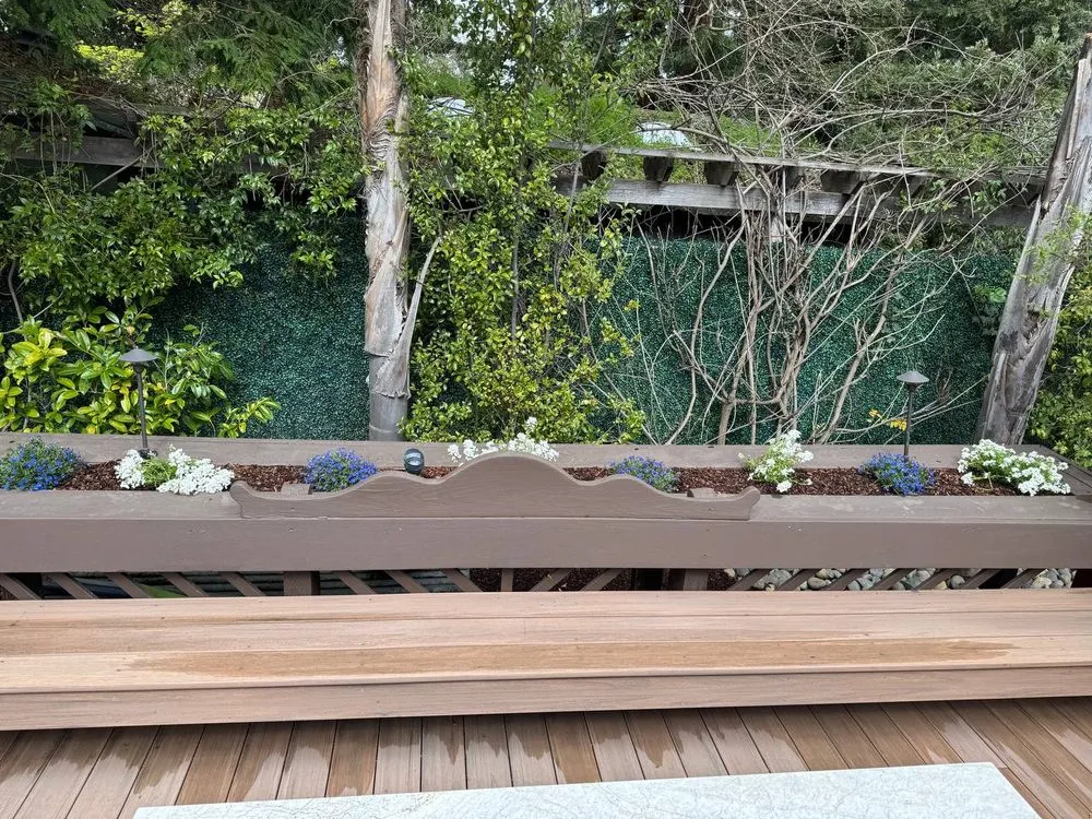 Top-rated yard cleanup service in Los Altos Hills, CA by Rodrigos Gardening and Landscaping