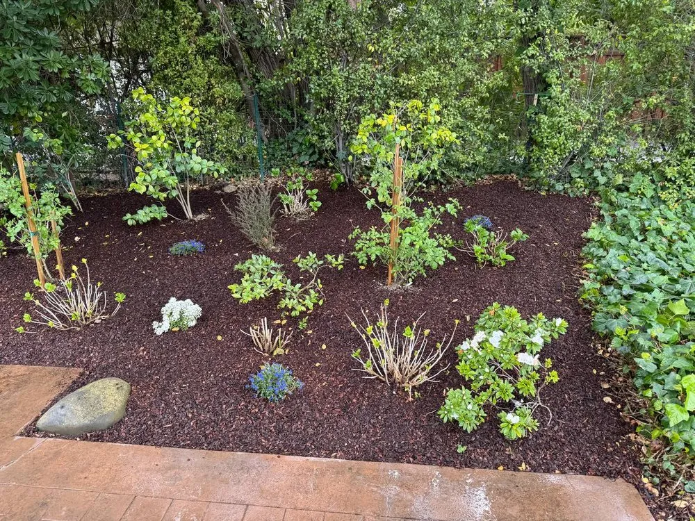 Local yard cleanup service experts serving Los Altos Hills, CA - Rodrigos Gardening and Landscaping