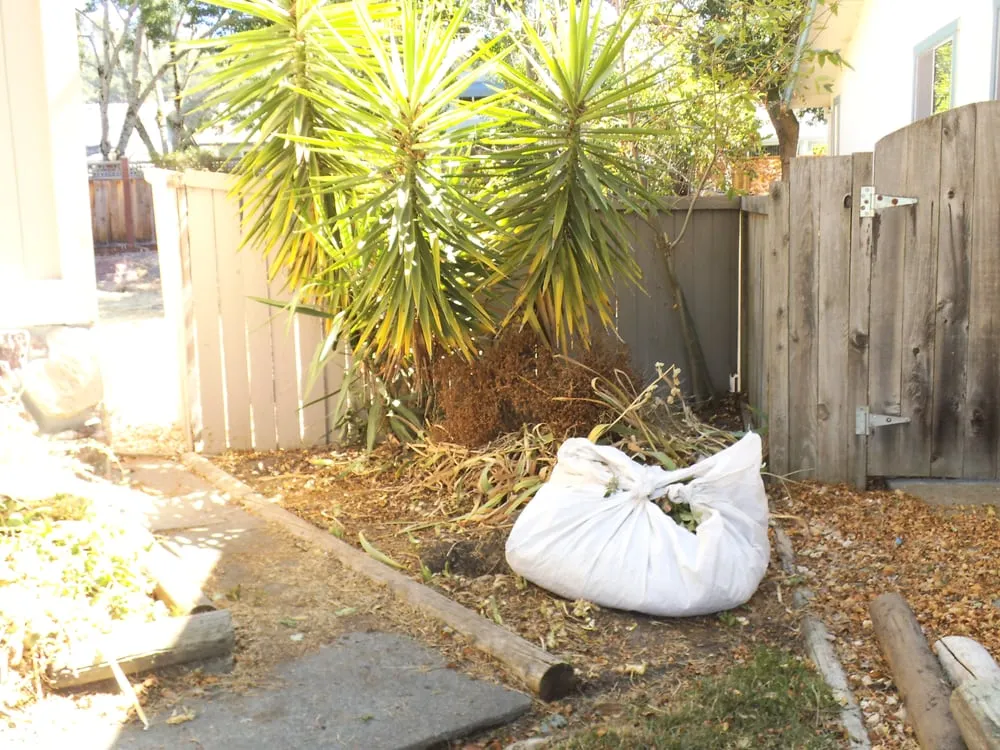 Local landscape design for year-round maintenance in Santa Rosa, CA by Rodrigo's Landscape