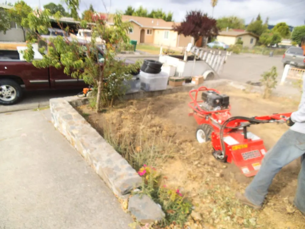Local outdoor landscaping in Santa Rosa, CA - Rodrigo's Landscape