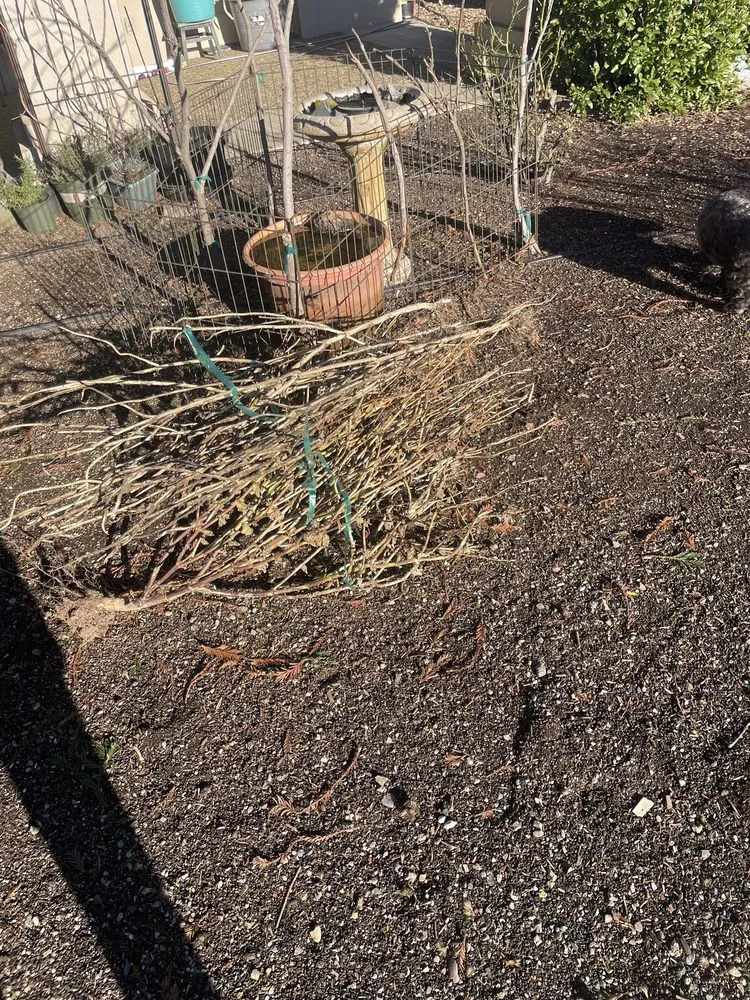 Trusted garden landscaping in Santa Rosa, CA by Rodrigo's Landscape