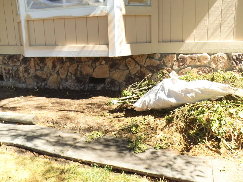 Custom yard maintenance in Santa Rosa, CA - Rodrigo's Landscape