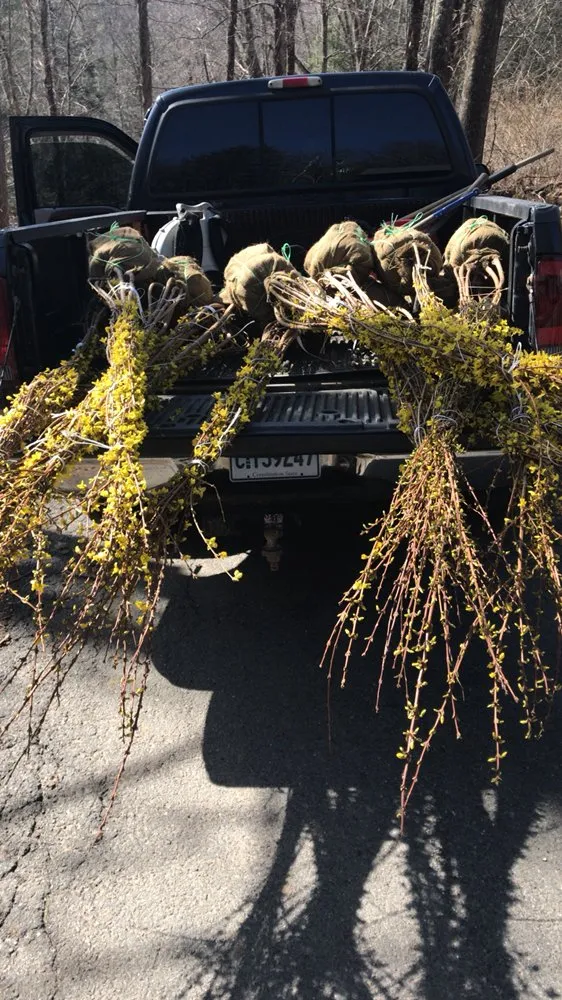 Custom yard cleanup service near you in Danbury, CT by Rodrigue's Landscaping