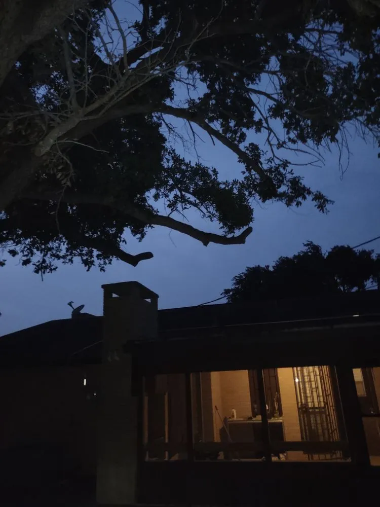 Professional landscaping services for year-round maintenance across Mission, TX - Rodriguez Cleaning Services